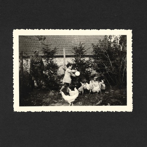 Fille nourrit poules