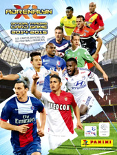 Panini Adrenalyn XL 2014-2015 Football LIGUE 1 Carte Au Choix