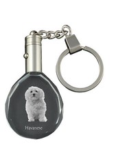 Bichon havanais porte-clés