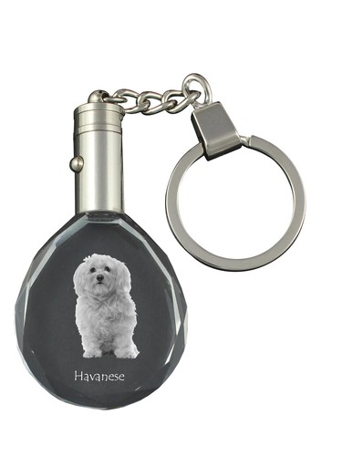 Bichon havanais porte clés - bichon,
