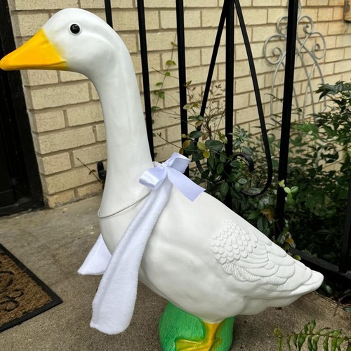 Costume oie forme d - costume, d'aile