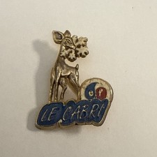 Broche Ski Insigne ESF ski….le cabri Signée Decat No Pin’s