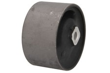 Support moteur TEDGUM 00465454