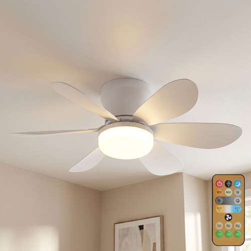 Ventilateur plafond avec - de,