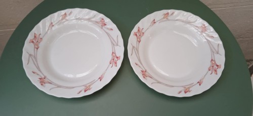 Lot deux assiètes - deux,