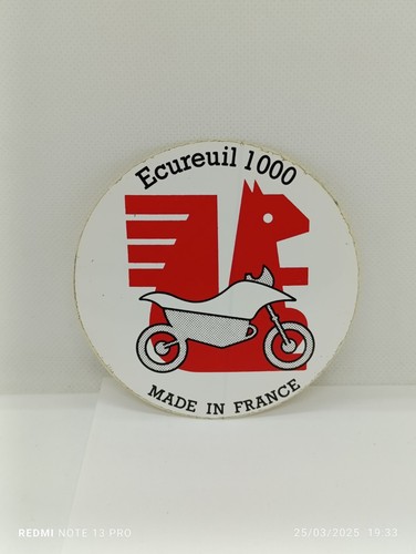 Autocollant écureuil 1000 - autocollant,