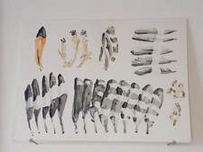 Plumes de Huppe AQUARELLE