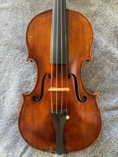 Labeled vincenzo postiglione - vincenzo,