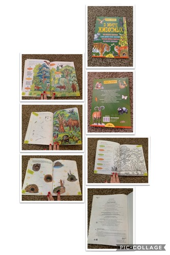 Russian books birds animals - books,