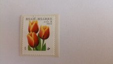 BELGIQUE THEMATIQUE FLORE 1999 YT N° 2876 ADHESIF NEUF** MNH - Tulipe