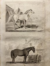 Ancienne illustration 1835 - ancienne,