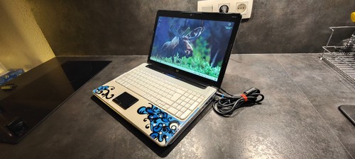 Laptop artist edition w10 - artist,