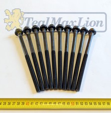 Jeu de 10 vis de culasse