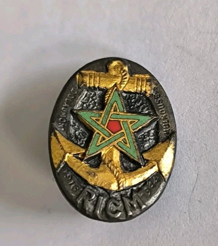 Insigne réduction ricm - insigne,