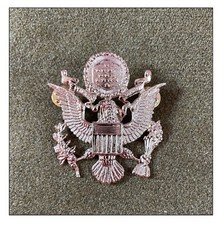 US AAF ww2 Insigne Casquette crusher Air force Pilote Chasse FAFL RAF Air Luft