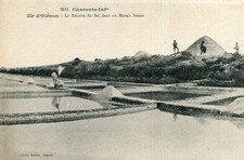 Carte Ile d'OLERON La Récolte