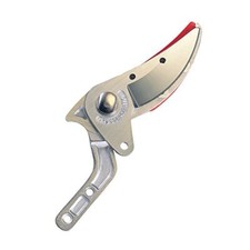 Tête de remplacement pour