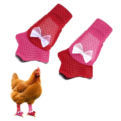 Chaussures maille pour - chaussures,