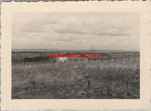 Photo ww2 grand - grand, avec