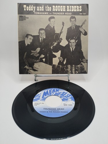 Teddy and the rough riders - teddy,