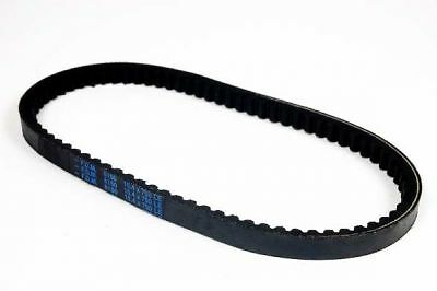Courroie kevlar tnt racing - courroie,