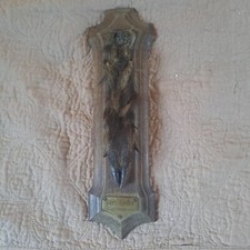 Taxidermie, trophée de