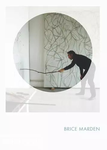 Brice marden phaidon focus - brice,