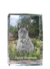 Hollandais Chien de Berger