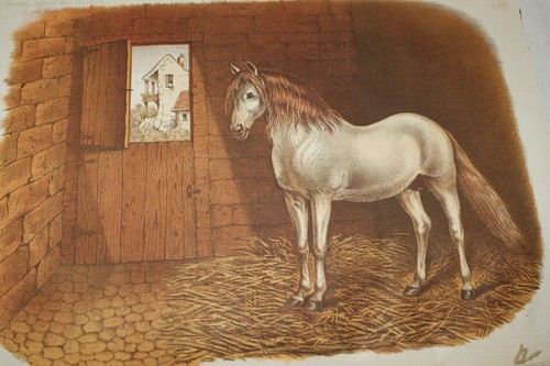 Cheval carrosse gravure - cheval, de