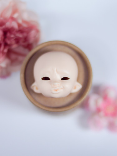 Pukifee kaka event face ns - kaka,