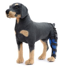 Attelle De Jarret De Jambe