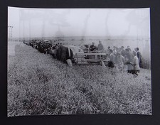 Photo ancienne BRAUD moissonneuse batteuse A2080 tractor tracteur Traktor 9