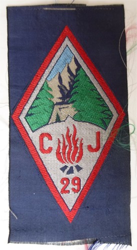 Ww2 tissu cjf 29 bugeaud - cjf,