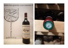 5 + 1 OFFERTE - Château