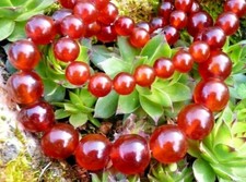 ANCIEN COLLIER SAUTOIR PERLES DE BAKÉLITE DE COULEUR AMBRE CHERRY 110 gr