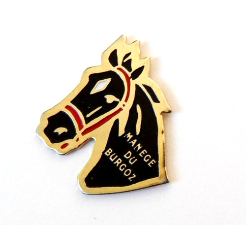 Rnt pin cheval manège - cheval,