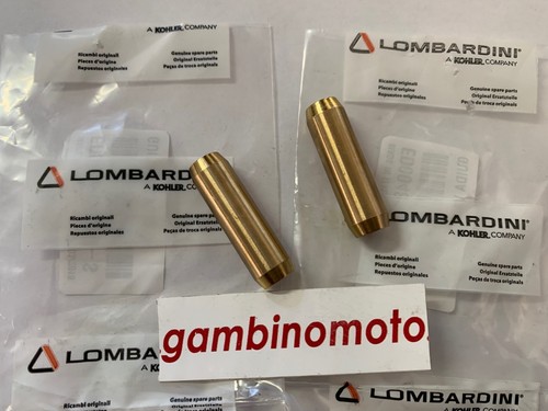 Guide vannes moteur lombardini - vannes,