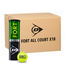 DUNLOP FORT ALL COURT 4 TIN