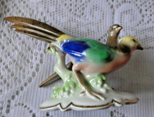 Couple oiseaux faisan - , faisane