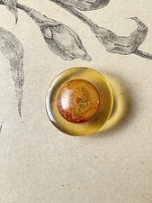 Joli bouton ancien en plexiglass avec inclusion - Collection 3,2cm French button