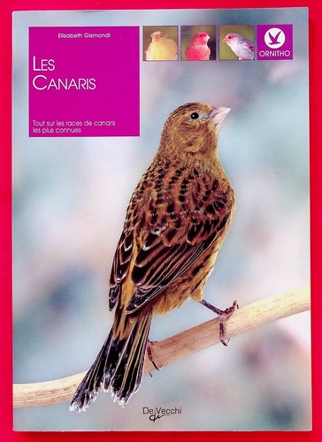 Les canaris ornithologie - les,