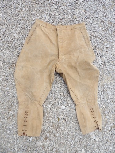 Culotte pantalon maquignon - ,
