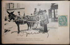 carte postale ANGOULÊME  librairie Barraud attelage ane