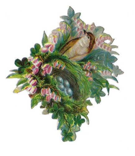 1888 chromo victorian pink - 1888,