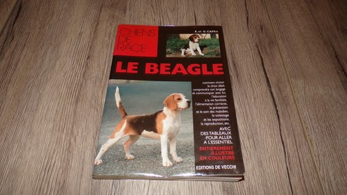 Beagle et g - -, g.