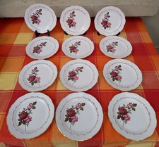 12 Assiettes À Dessert