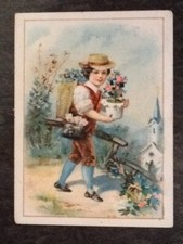 CHROMO CHICOREE A L'ECOLIERE ALPHONSE LEROUX GARCON HOTTE POT FLEURS  - 57475