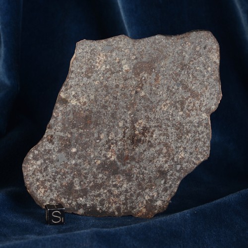 Tranche météorite nwa 869 - tranche, de