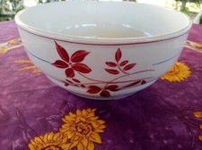 Saladier Orcérame Moulin des