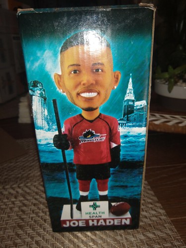 Joe haden lake erie - joe,
